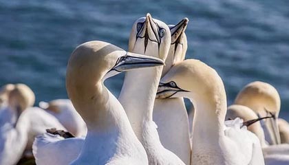 九游网页版官网入口-华夏幸福客场惨败，积分榜排名下滑步伐明显，华夏幸福球员名单照片