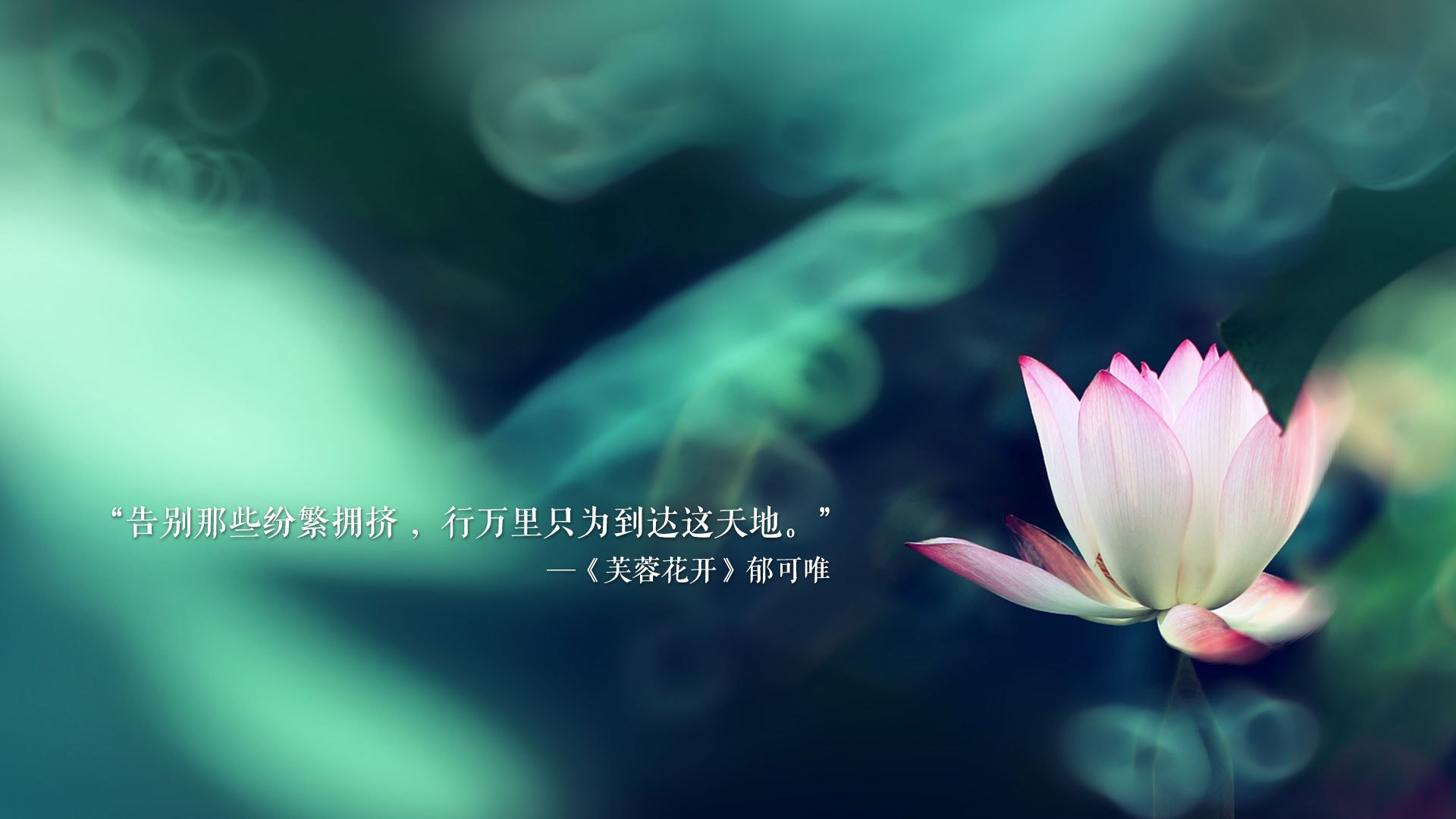 LCS赛区面临国际竞争压力，lcs赛区面临国际竞争压力的原因