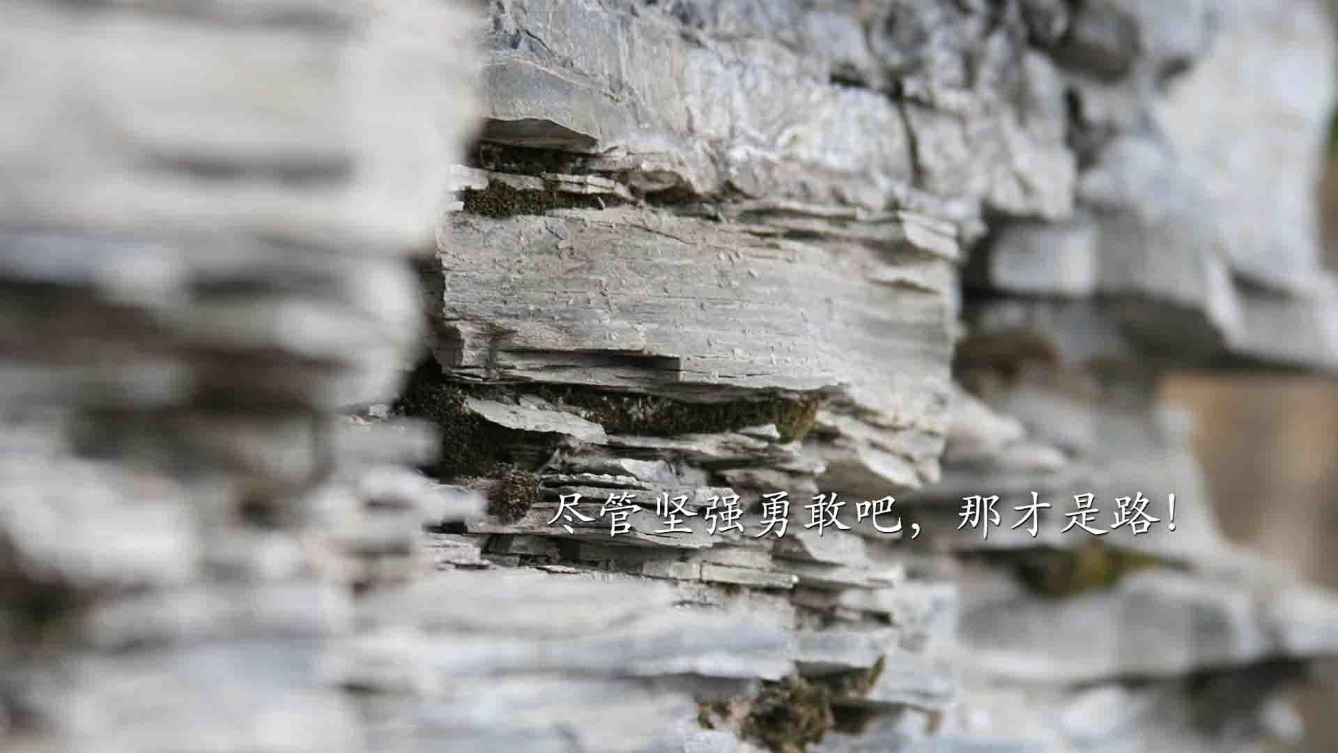全北现代要面对强大对手，信心何在，全北现代对阵