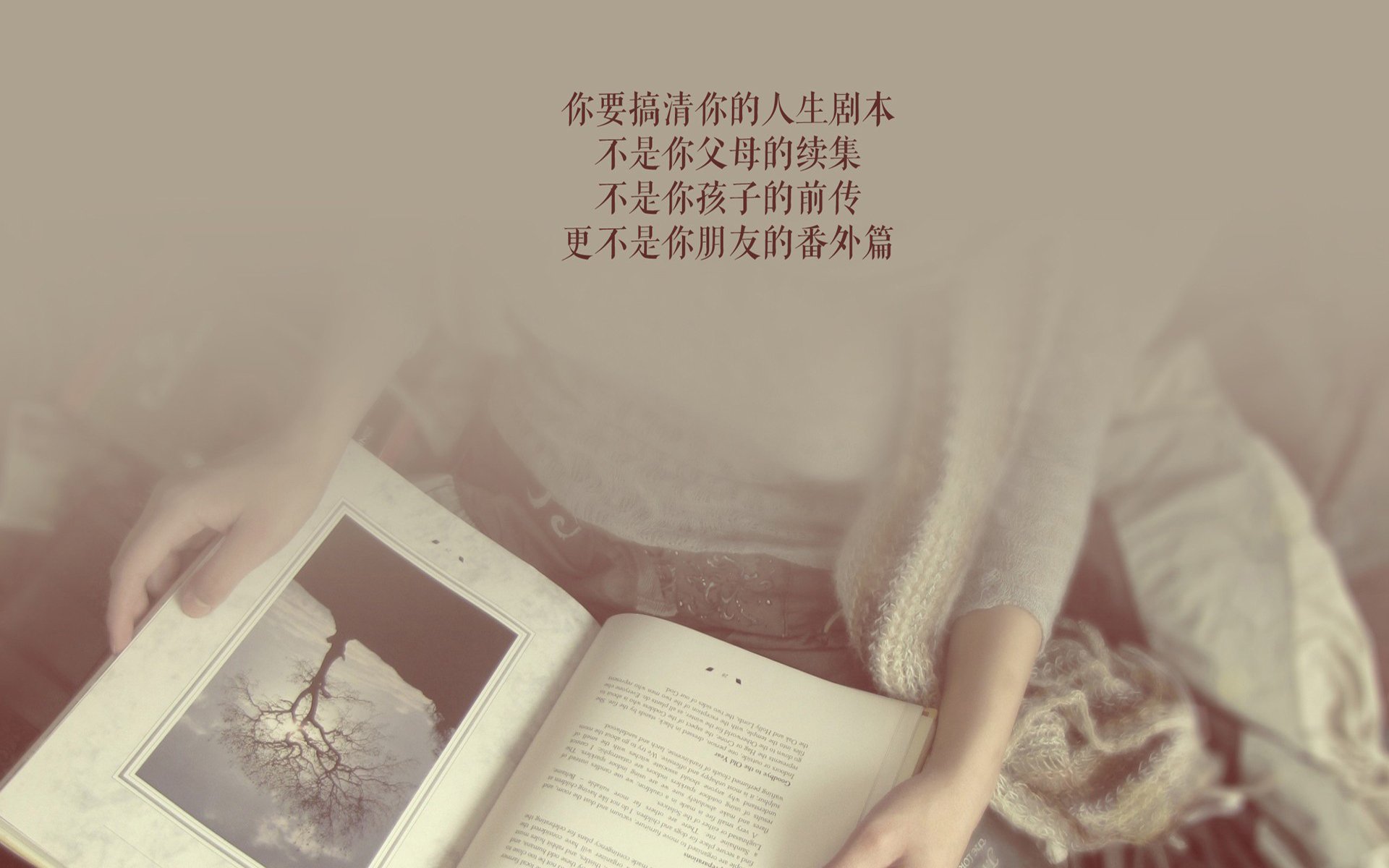 女足世界杯球队战术解析，女足世界杯球队战术解析视频