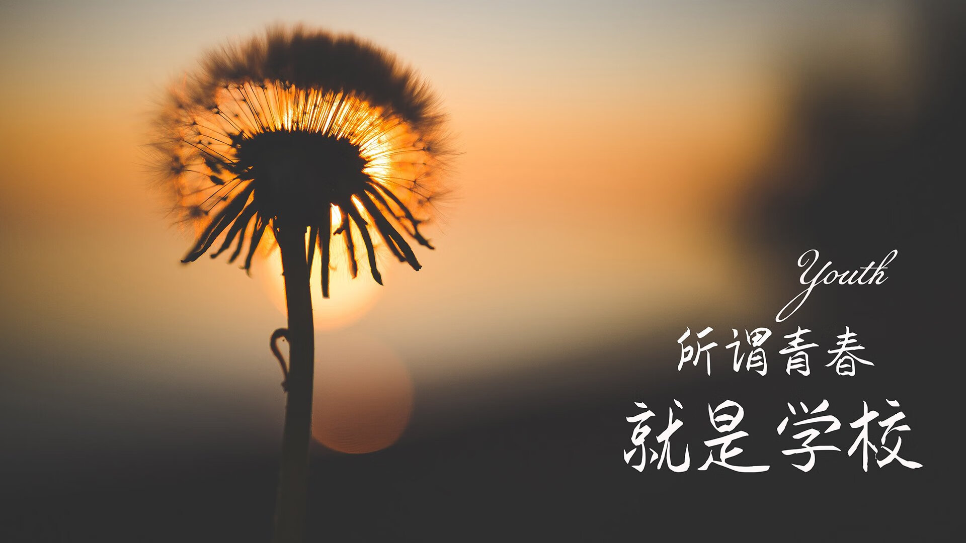 知豆带领火箭大胜小牛，实现三连胜，知豆电动车质量怎么样