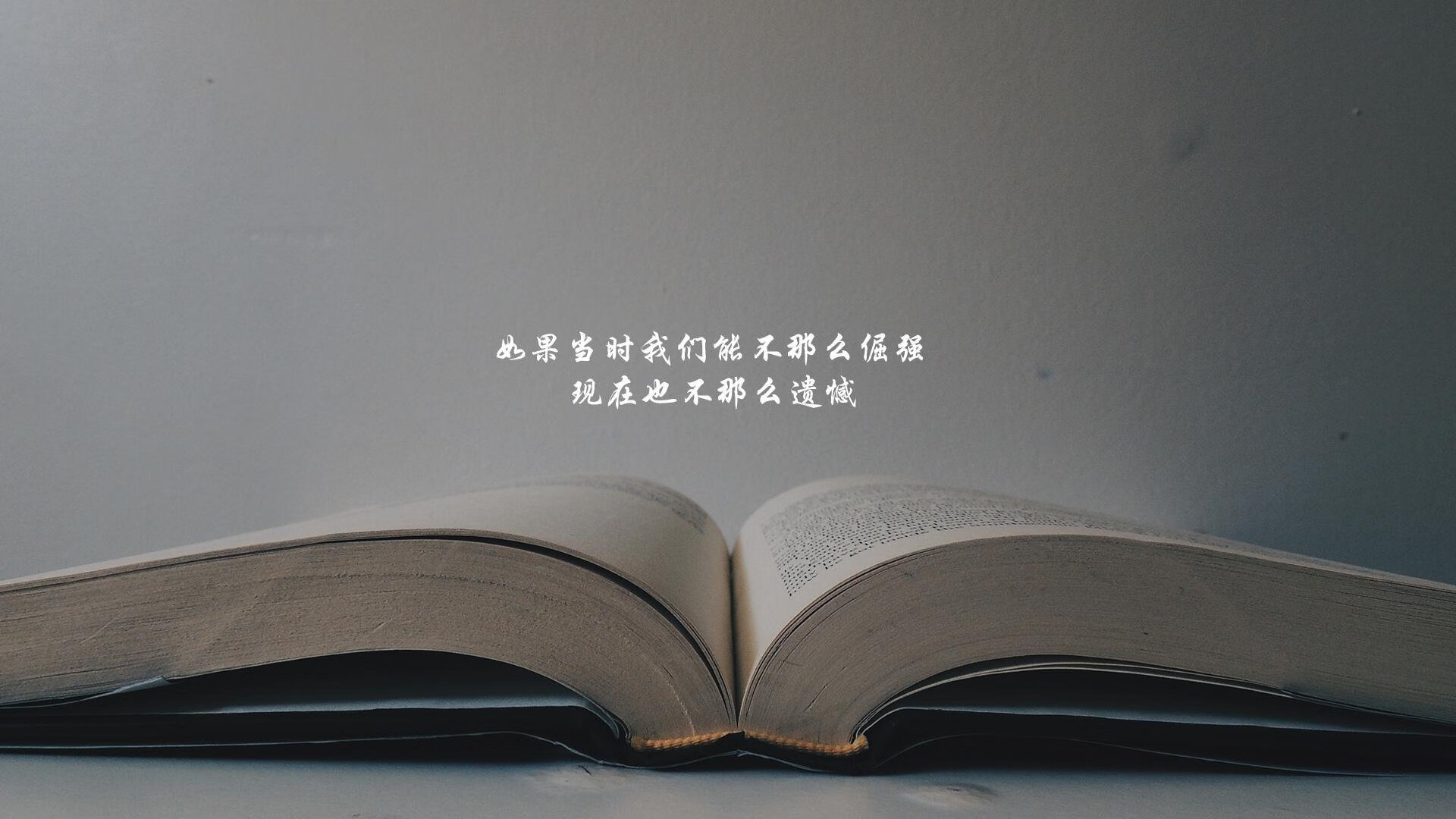 米德尔斯堡门将高接抵挡，河畔军团锁定前列，米德尔斯堡地理位置