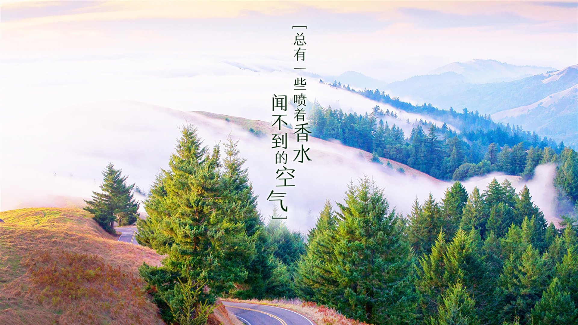 国足球员脚下技术对比分析，中国足球国脚有哪些