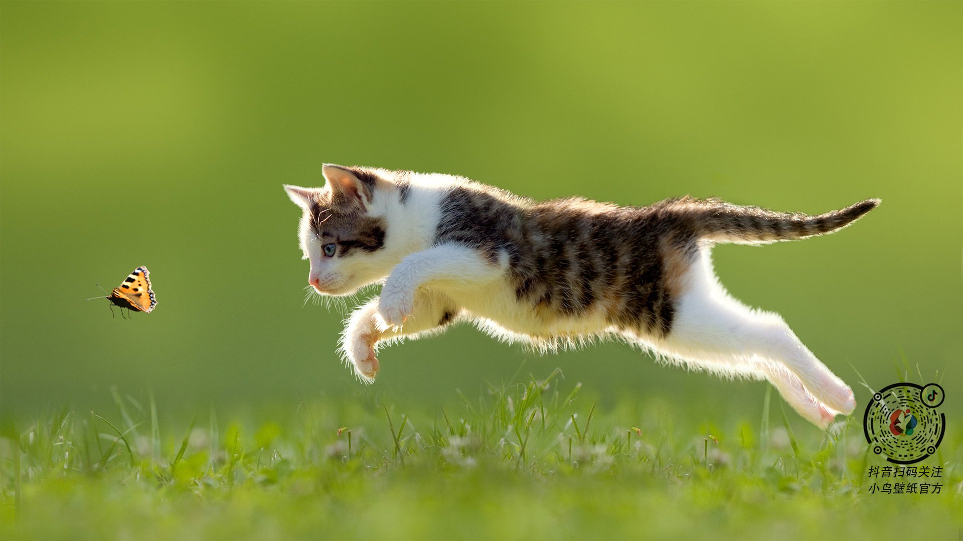 训练方式多样化促进运动员成长，不同训练方法对运动员体能的影响