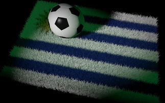 九游网页版入口-中国足球国家队备战世界杯预选赛全面展开，中国足球队 世界杯预选赛