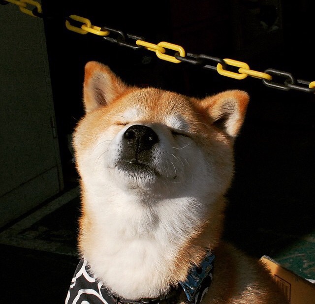 中国足球国家队备战世界杯预选赛全面展开,中国足球队 世界杯预选赛