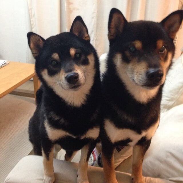 九游网-决赛赛场见证温斯坦突破自我，温斯坦莱