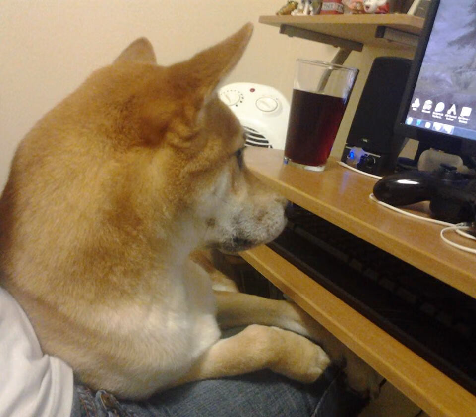 九游娱乐(jiuyou)官方网站-意甲超燃对决：传控、突破、射门精彩纷呈，意甲传奇门将