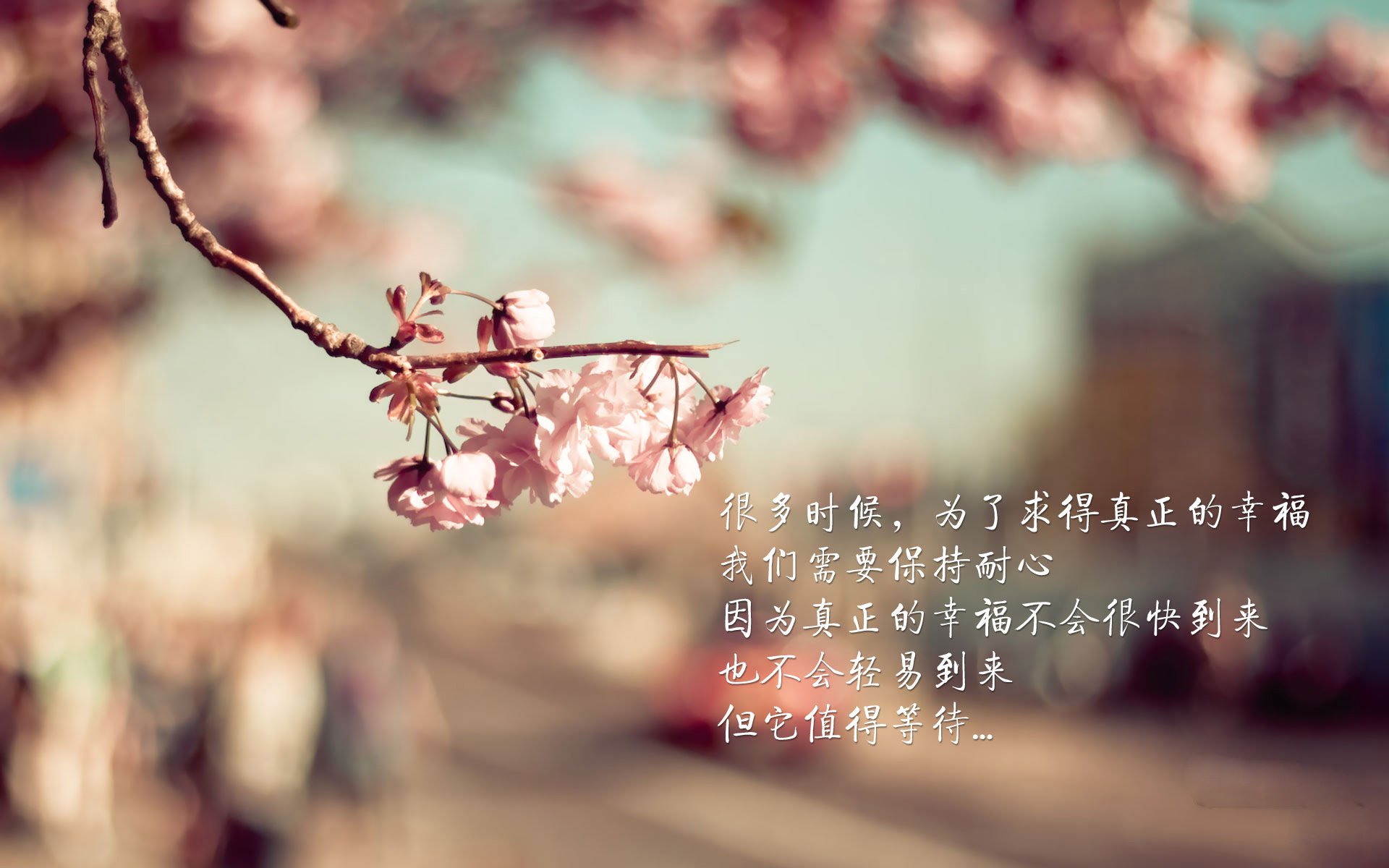 九游娱乐官网 (jiuyou)-格鲁塞技术动作精准无误，格鲁竞技-glubet