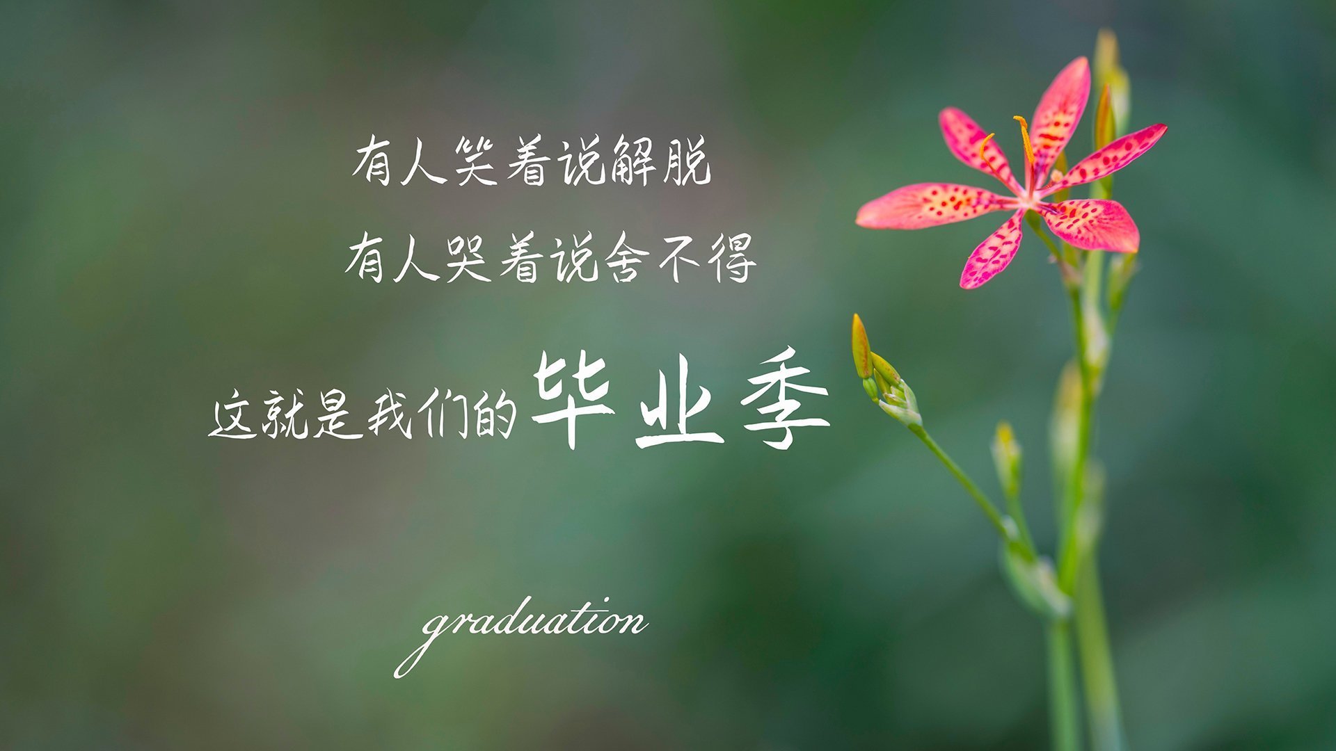 九游登录入口-梅西助攻帽子戏法技惊四座，梅西首个帽子戏法的比赛视频