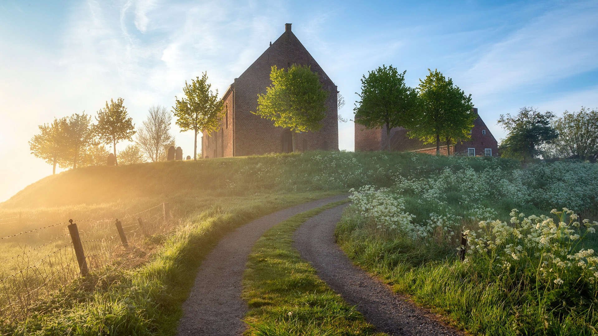 比利时男篮在欧洲预赛中奋勇拼搏,冲击奥运荣耀,比利时男篮国家队