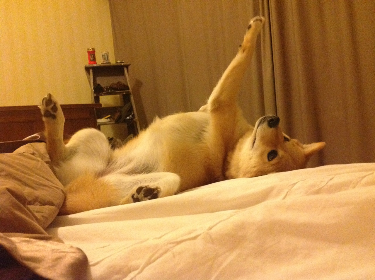 九游jiuyou-欧洲杯的多元文化交流平台建立，欧洲杯交流群