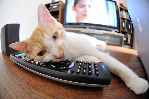 九游娱乐APP-水球比赛比利时防守坚固，最新水球比赛规则