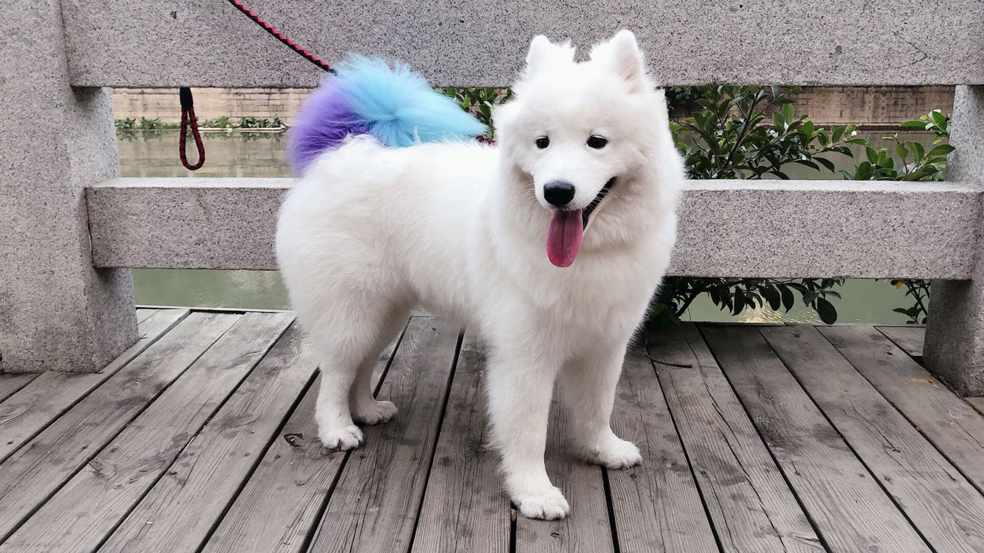 九游娱乐官网 (JIUYOU)-王楚钦谈比赛节奏感找到关键点，王楚钦和谁比赛摔拍子