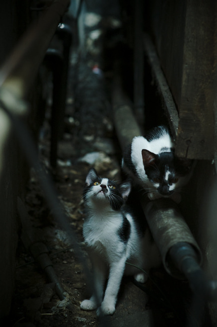 莱昂·马尔尚精准换泳成夺冠关键,豪尔赫·莱昂马丁内斯