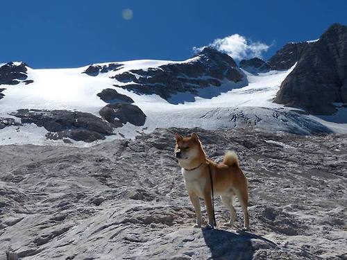 足球守门员专项训练营开营,足球守门员训练实战宝典
