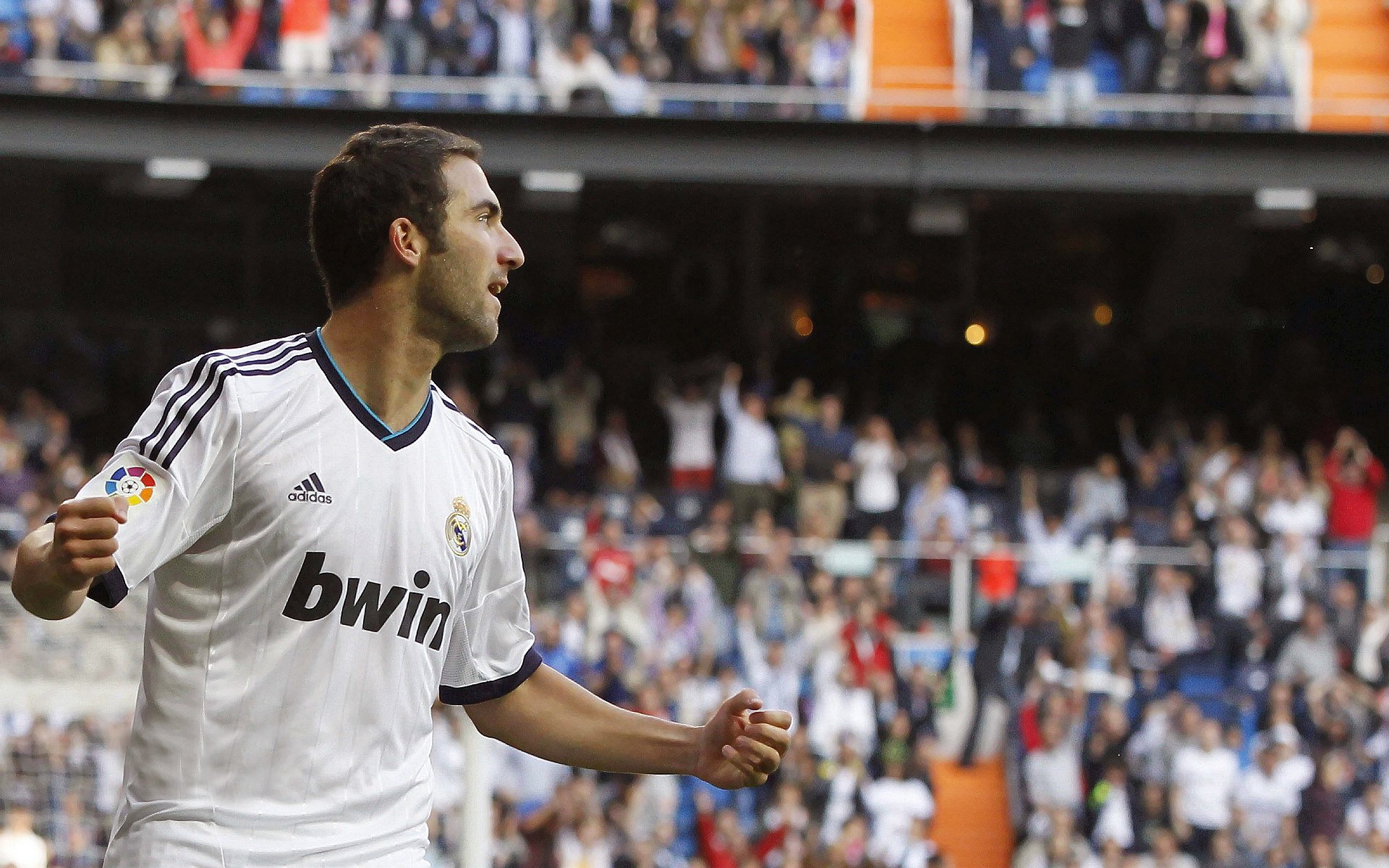 赛场激烈：上海队虽败犹荣，表现仍获得极高评价！，上海队夺冠